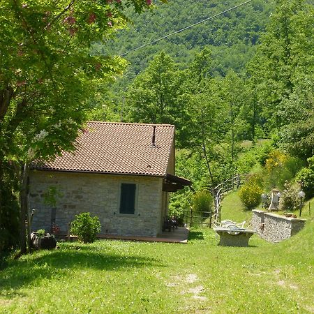 Willa Agriturismo La Motta Frassineta Zewnętrze zdjęcie