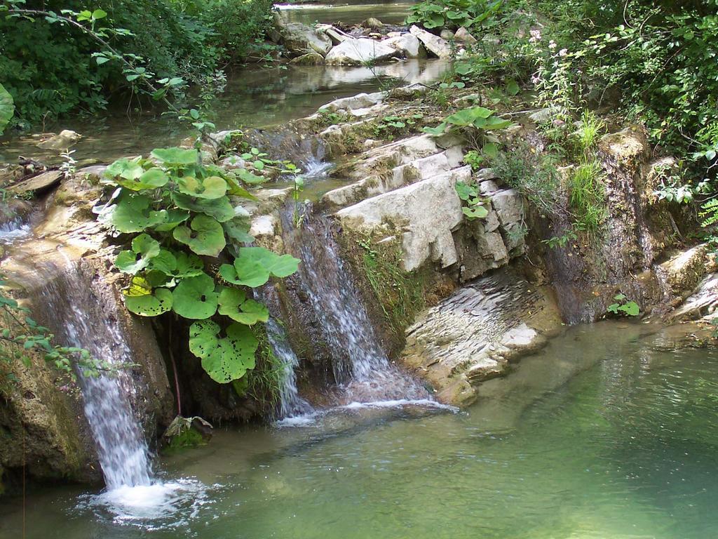 Willa Agriturismo La Motta Frassineta Zewnętrze zdjęcie