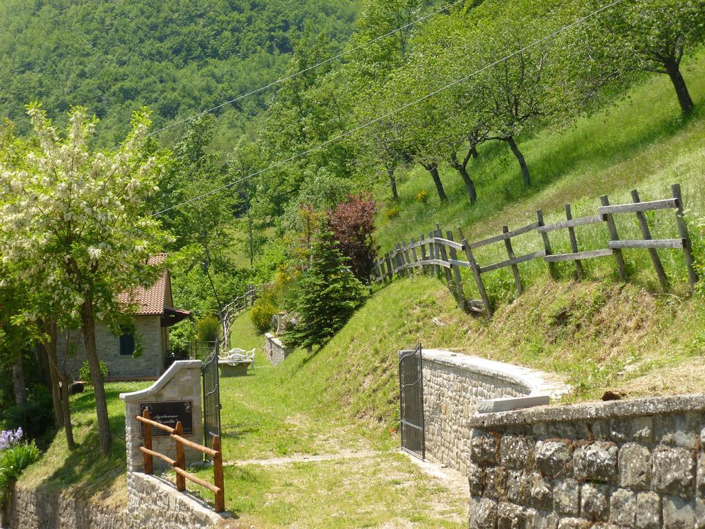 Willa Agriturismo La Motta Frassineta Zewnętrze zdjęcie